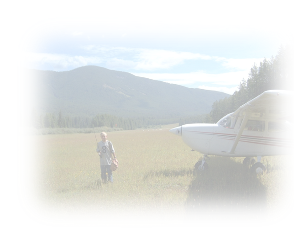 LEGACY PLANNING SERIES: WILL BENEFICIARIES - Recreational Aviation ...